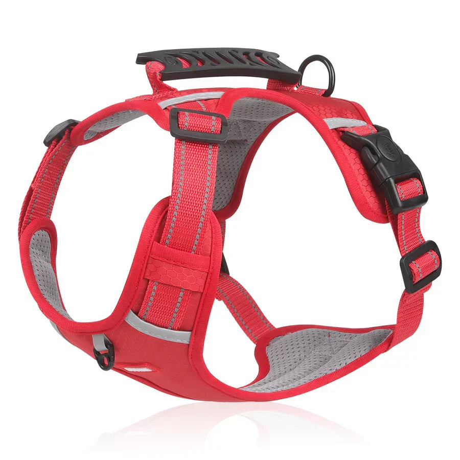 Komfortables ActivePup Outdoor Hundegeschirr für Abenteuer, Training & tägliche Spaziergänge. Robust & verstellbar.