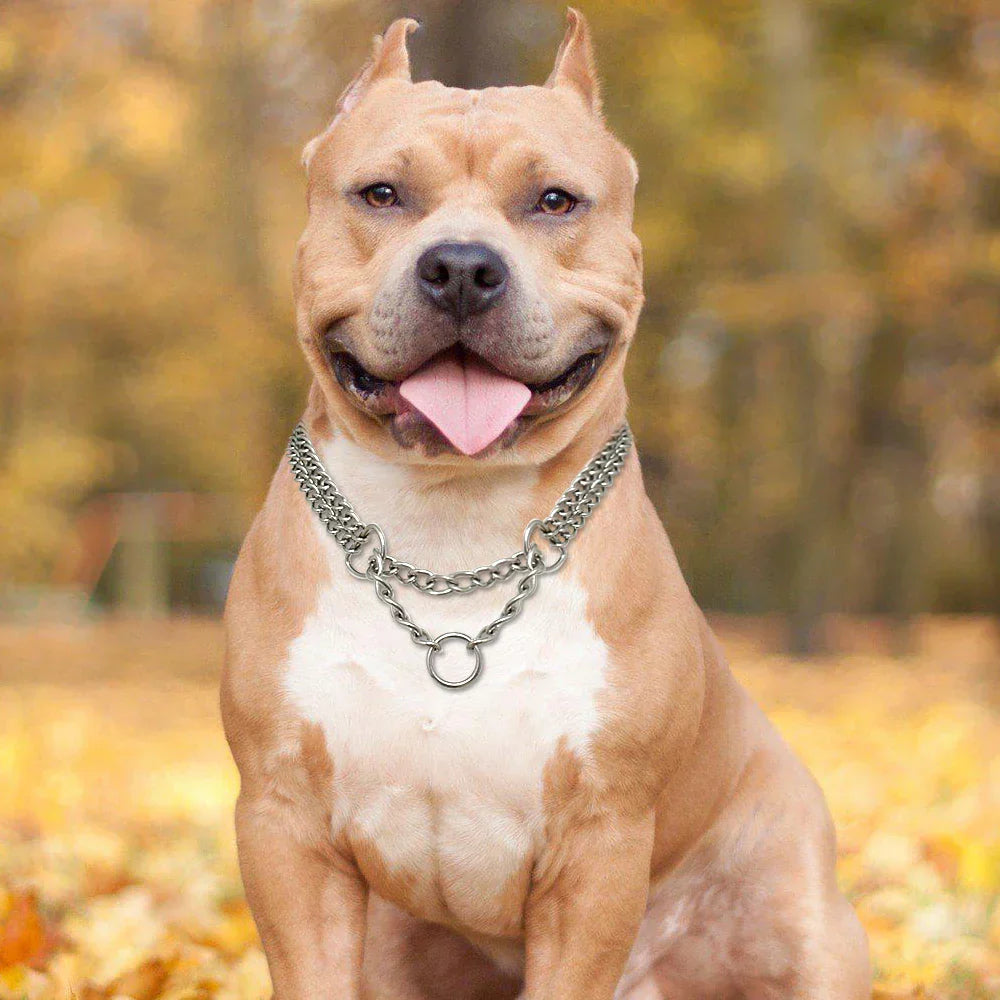 Langlebiges Edelstahl-Hundehalsband für Training & Spaziergänge. Bietet sichere Zugkontrolle für kräftige Hunde.