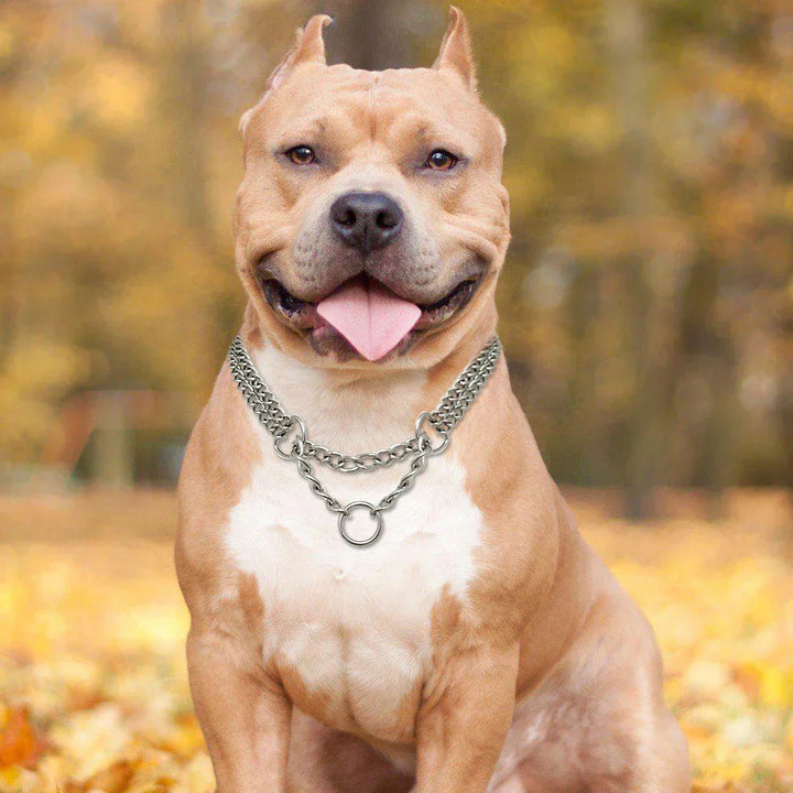 Langlebiges Edelstahl-Hundehalsband für Training & Spaziergänge. Bietet sichere Zugkontrolle für kräftige Hunde.