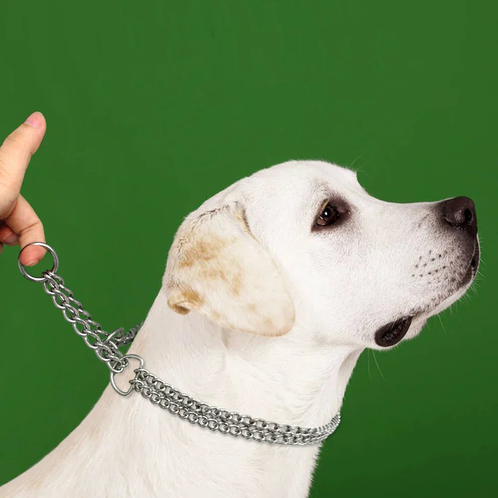 Metall Würgehalsband aus robustem Edelstahl für Hundetraining. Optimal für die Ausbildung und Führung von Hunden.