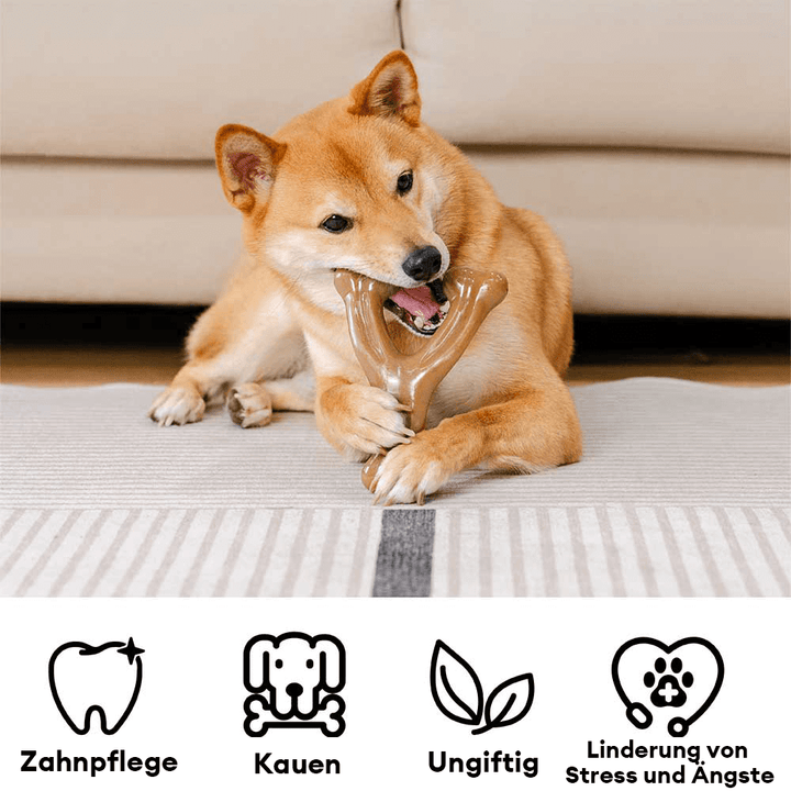 Langlebiges Nylon Kauspielzeug für Hunde, robust und widerstandsfähig, mit unwiderstehlichem Speckgeschmack.
