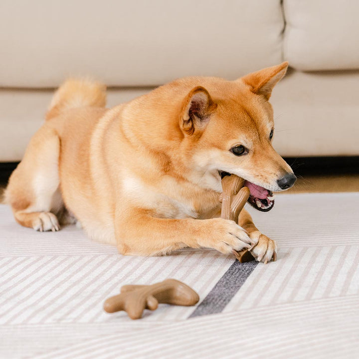 Hundeknochen Kauspielzeug mit echtem Speckgeschmack, besonders robust und für langanhaltenden Kauspaß geeignet.