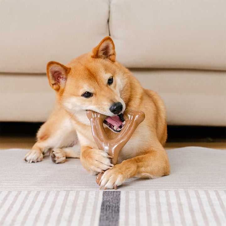 Dieses robuste Hundespielzeug mit leckerem Speckgeschmack ist perfekt für aktive Hunde und intensive Kaubedürfnisse.