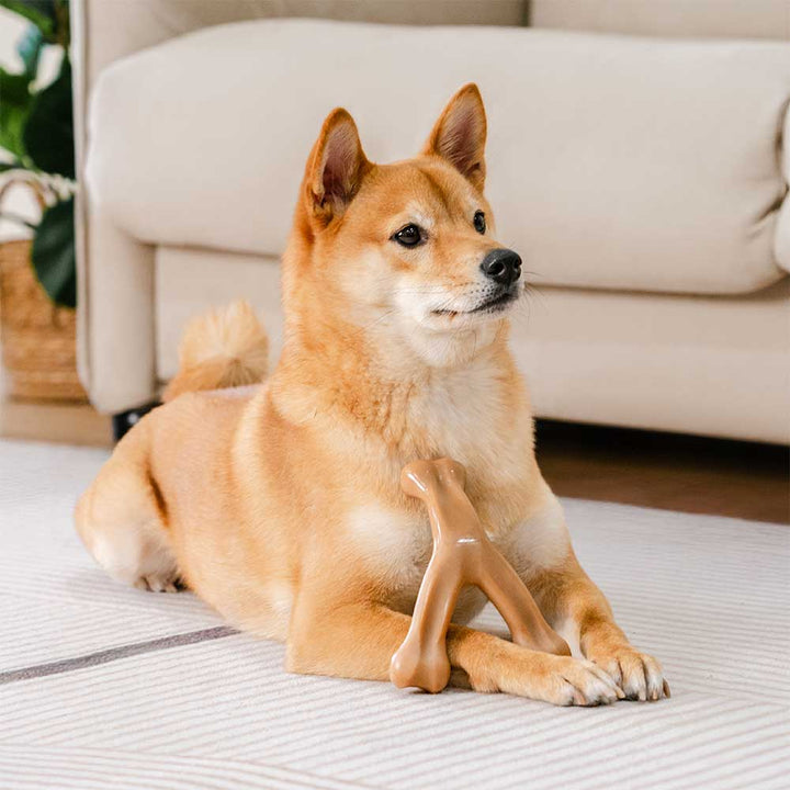 Spaßiges und robustes Hundespielzeug mit unwiderstehlichem Speckgeschmack, fördert Spiel und natürliche Kauaktivität.