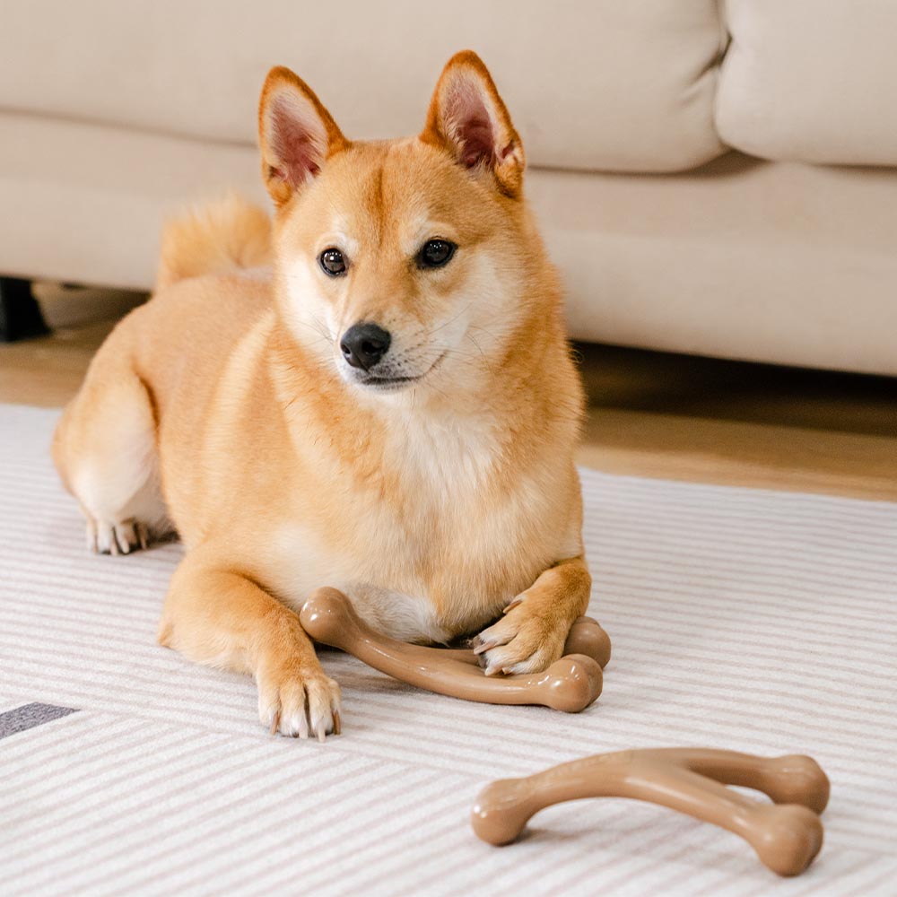 Extra robustes Kauspielzeug aus Nylon für Hunde, befriedigt den Kautrieb und schmeckt köstlich nach Speck.