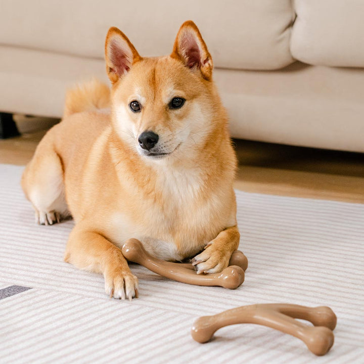 Extra robustes Kauspielzeug aus Nylon für Hunde, befriedigt den Kautrieb und schmeckt köstlich nach Speck.