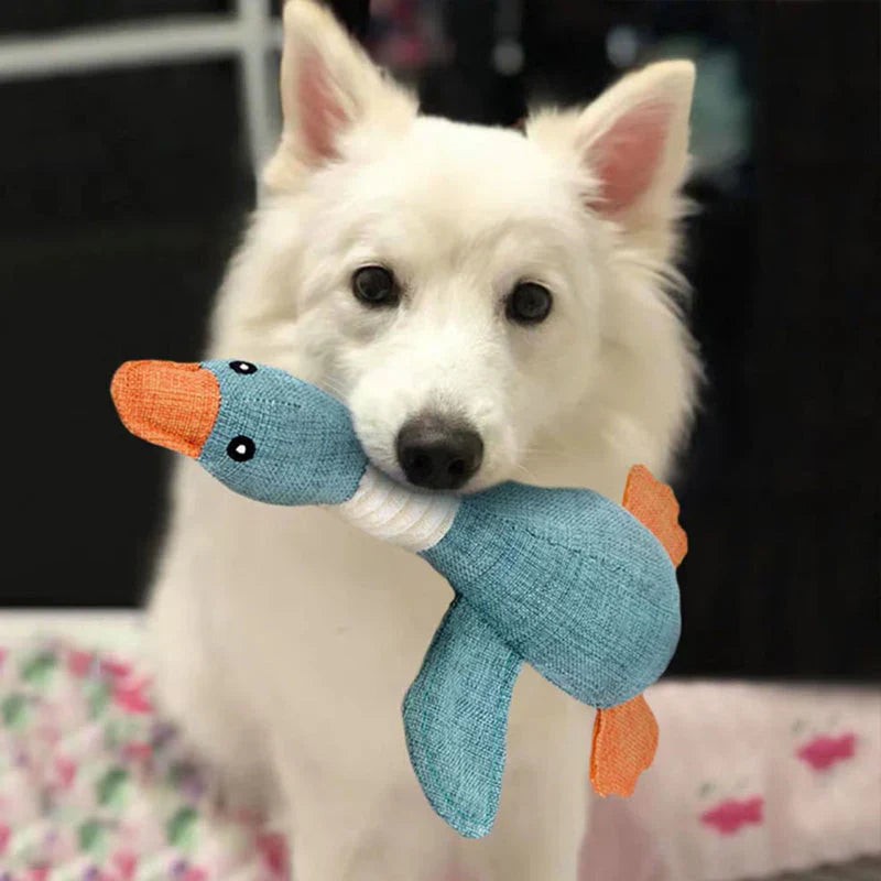 Langlebiges Kauspielzeug Set für Hunde, ideal für intensives Kauen und interaktives Training.