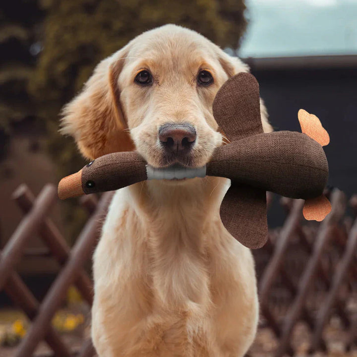 Set aus zwei robusten Hundespielzeugen für Kauen, Spielen und Training aktiver Hunde & Welpen.