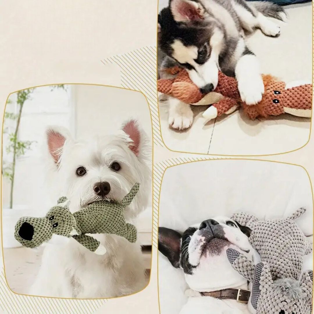 Robustes Hundespielzeug für kräftiges Kauen, ideal zur Zahnpflege und langanhaltendem Spielspaß.