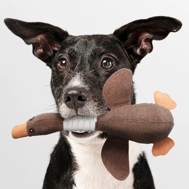 Interaktives Hundespielzeug, extrem robust und bissfest. Perfekt für aktive Hunde und Zahnreinigung.