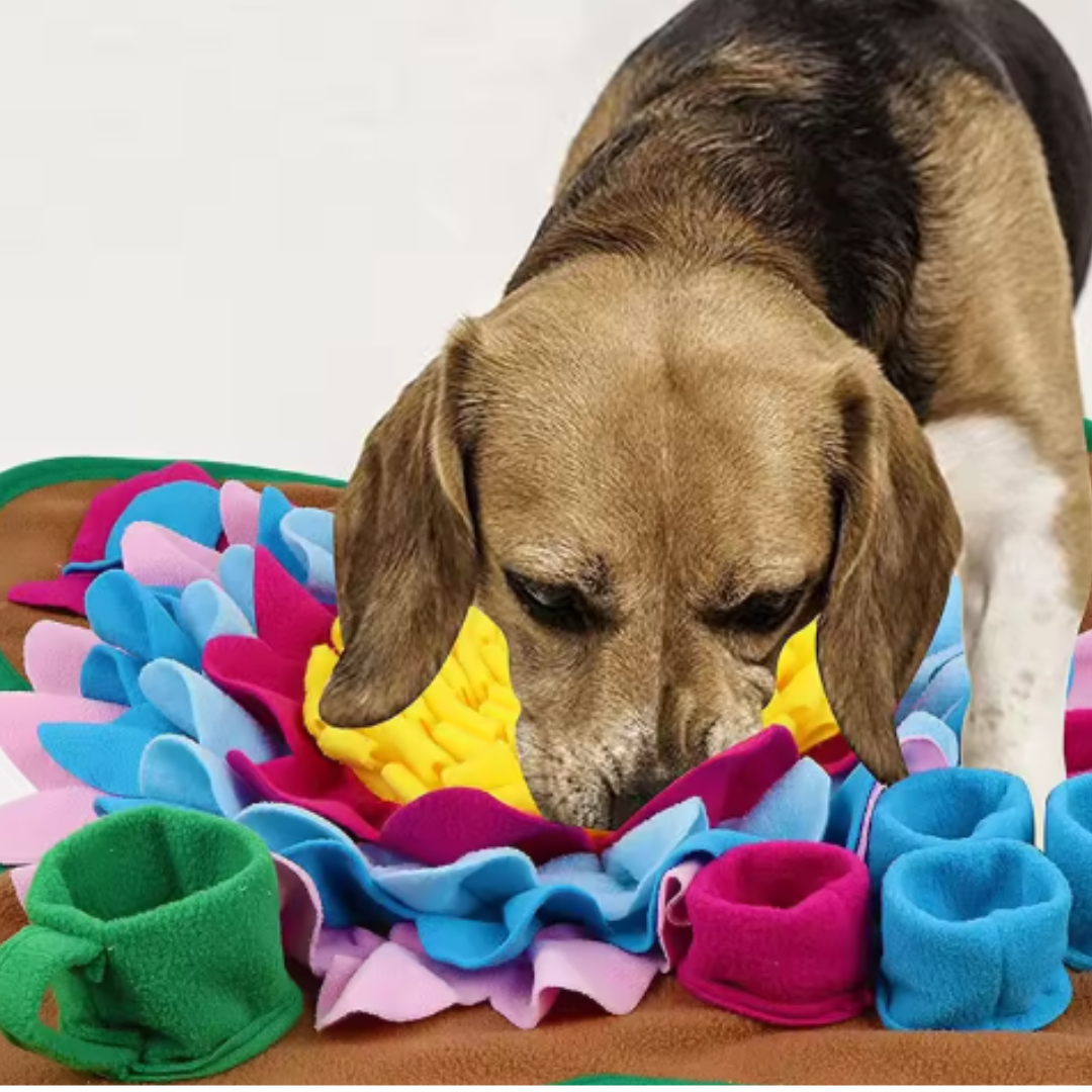Robustes Hundespielzeug für starke Kauer, unzerstörbar. Ideal gegen Langeweile & für alle Hunderassen.