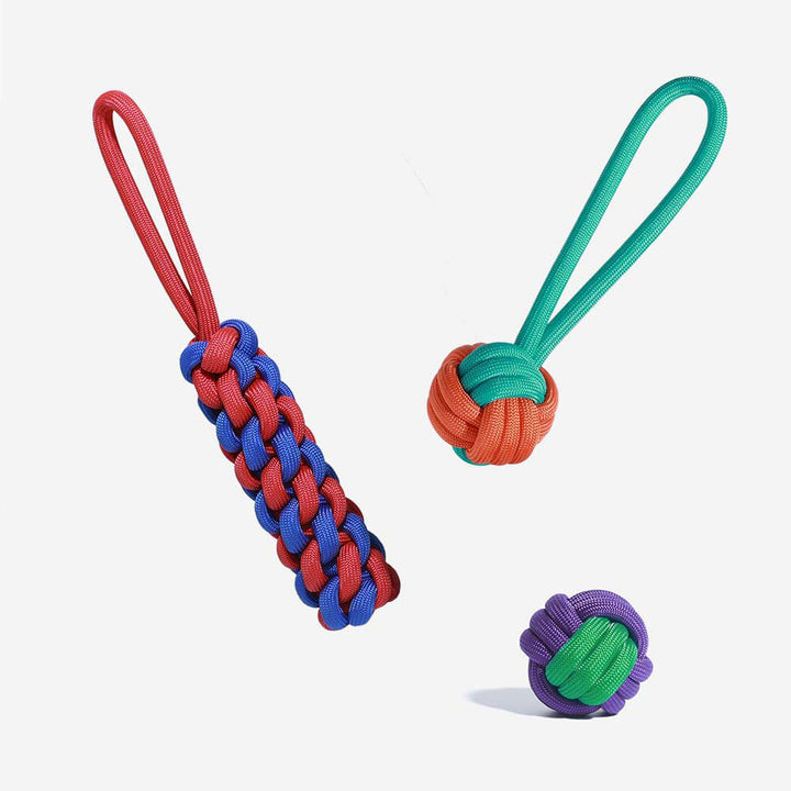 Robustes Hundespielzeug-Set mit Seilen für interaktiven Spielspaß und Welpen.