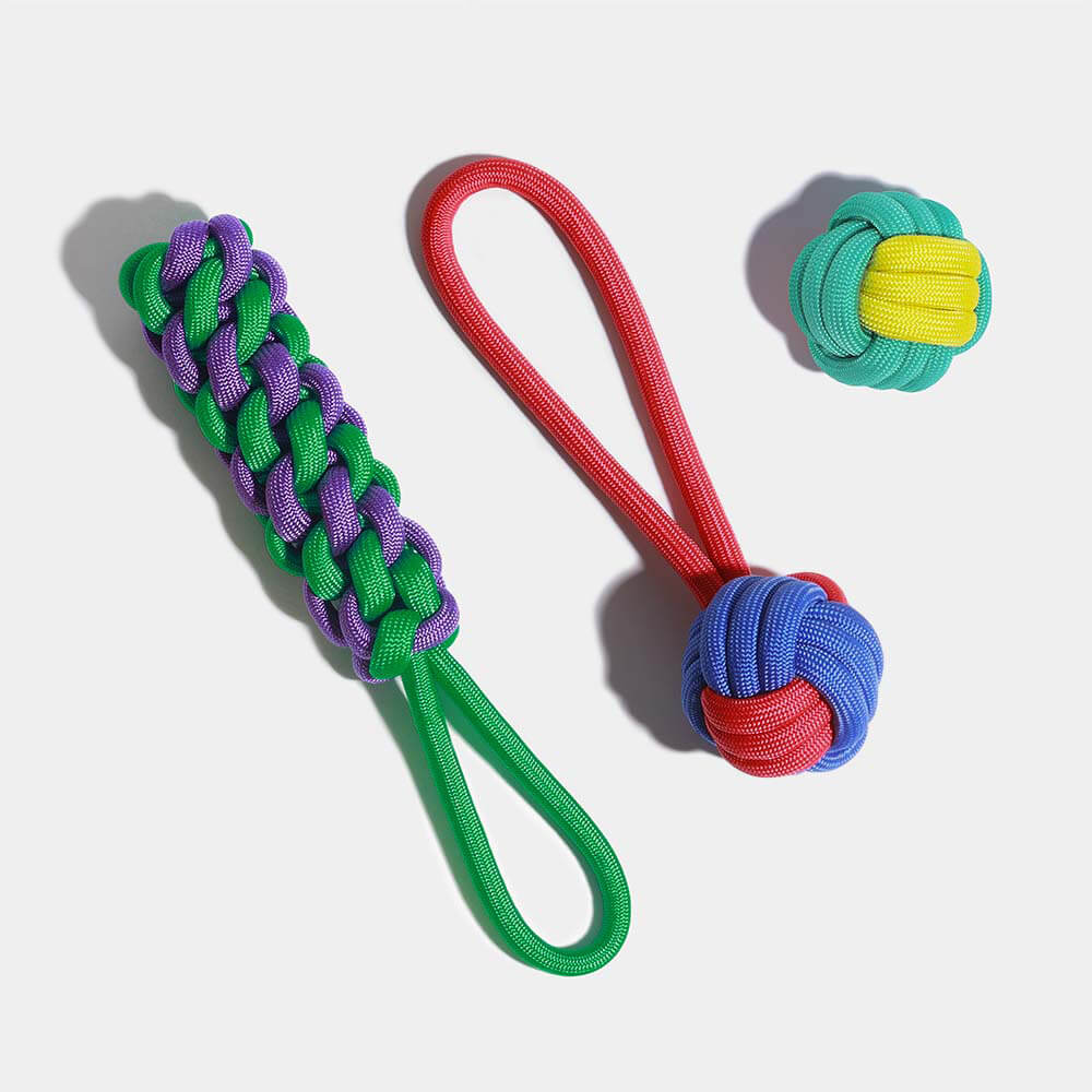 Farbenfrohes robustes Seilspielzeug-Set für Hunde & Welpen, fördert Zahnpflege & Spiel.