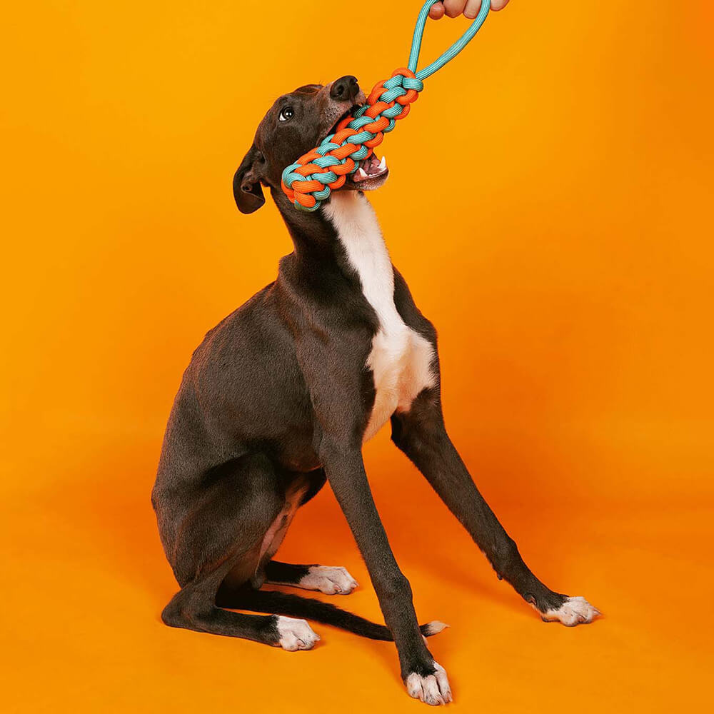 Seilspielzeug für Hunde zur Zahnpflege, robust und ideal für Welpenspielzeug.