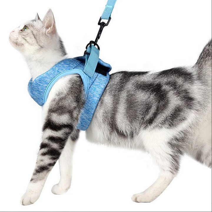 Robustes Katzengeschirr mit Leine für sichere Outdoor-Abenteuer. Verstellbar & ausbruchsicher für Komfort.