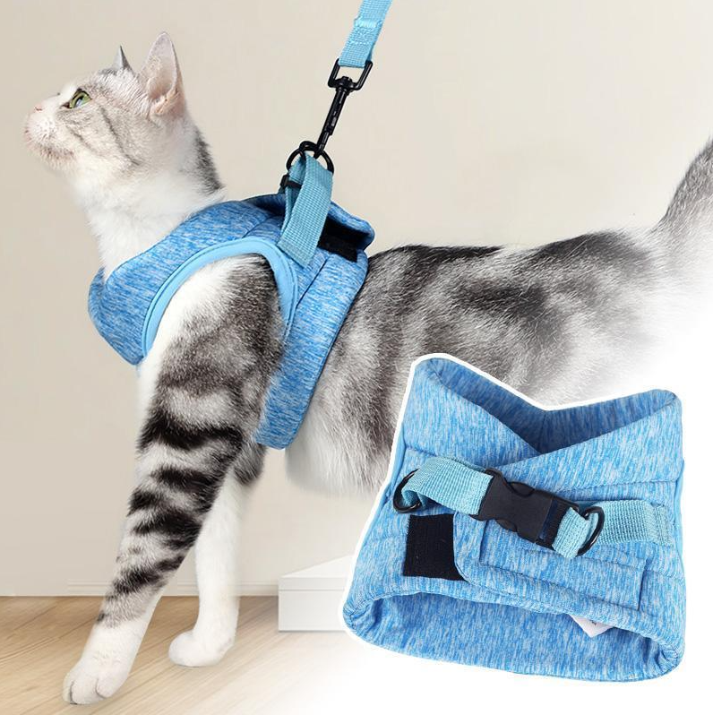 Katze trägt bequemes Katzengeschirr mit Leine, bereit für sichere Outdoor-Erkundungen. Perfektes Katzenzubehör.