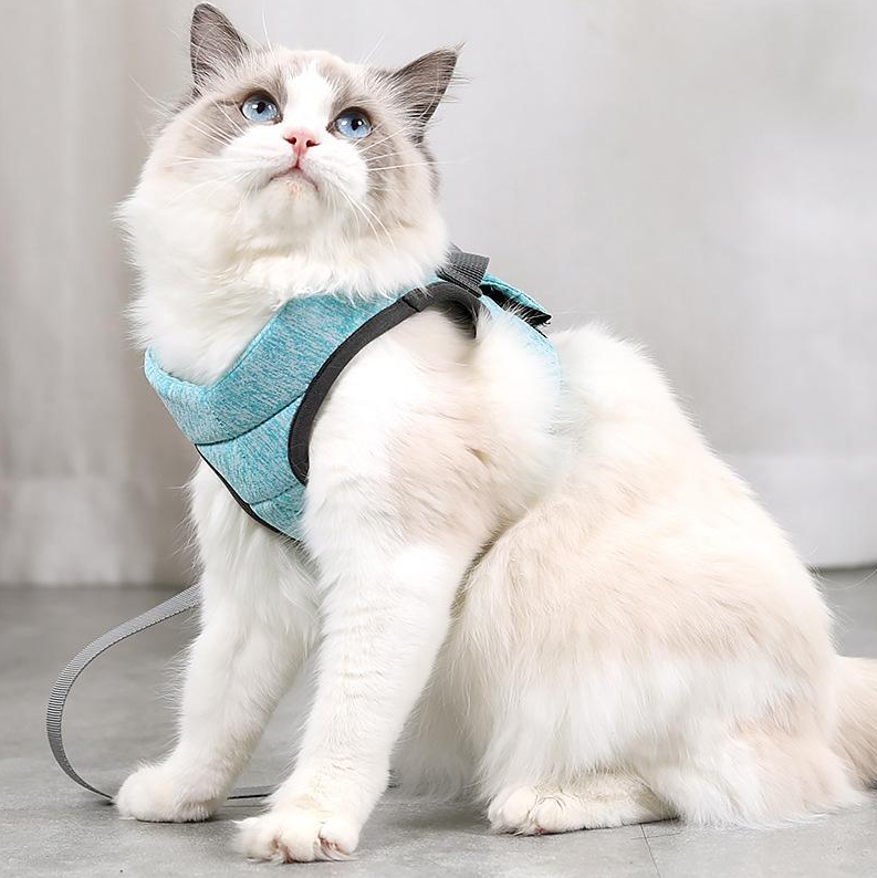 Hochwertiges Katzengeschirr & Leine. Sicheres, verstellbares Haustiergeschirr für alle Katzenabenteuer. Top Tierbedarf.