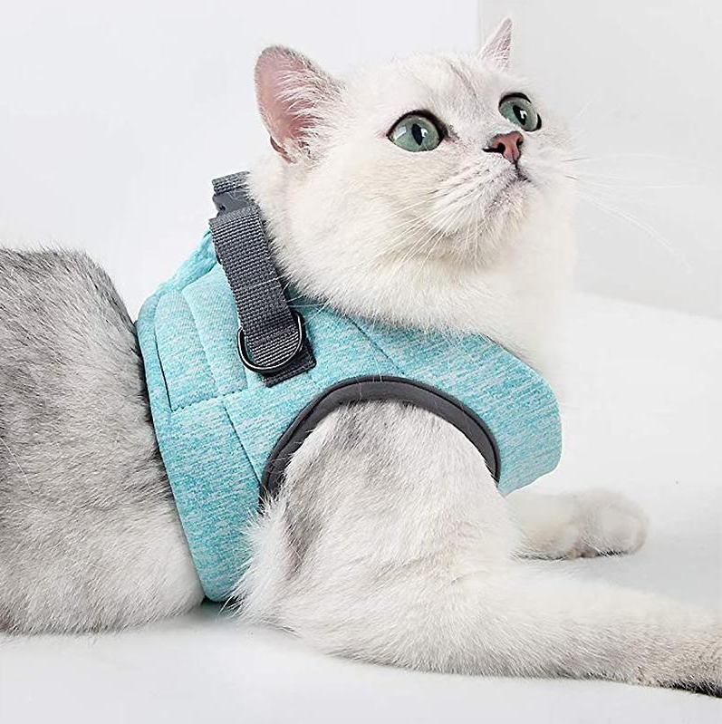 Ausbruchsicheres Sicherheitsgeschirr für Katzen mit Leine. Garantierter Halt für entspannte Outdoor-Erlebnisse.