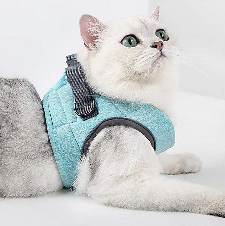 Ausbruchsicheres Sicherheitsgeschirr für Katzen mit Leine. Garantierter Halt für entspannte Outdoor-Erlebnisse.