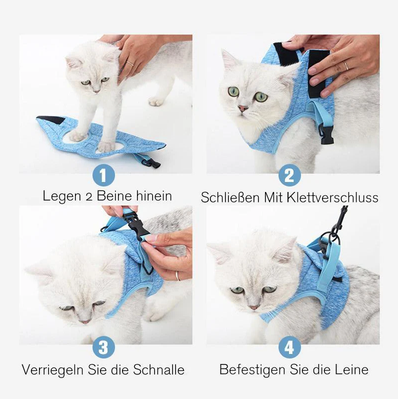 Leichtes, atmungsaktives Katzengeschirr mit Leine. Ideal für sichere Spaziergänge & Training. Bequemes Haustiergeschirr.