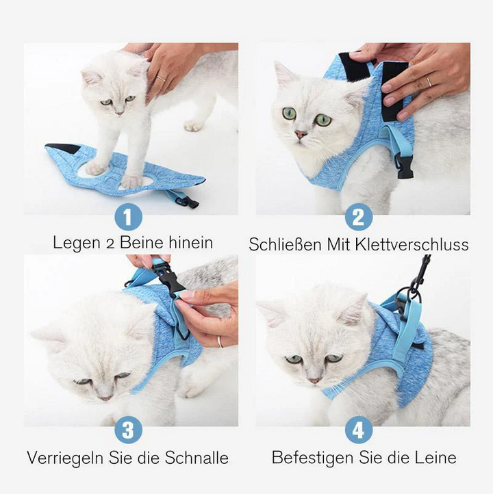 Leichtes, atmungsaktives Katzengeschirr mit Leine. Ideal für sichere Spaziergänge & Training. Bequemes Haustiergeschirr.