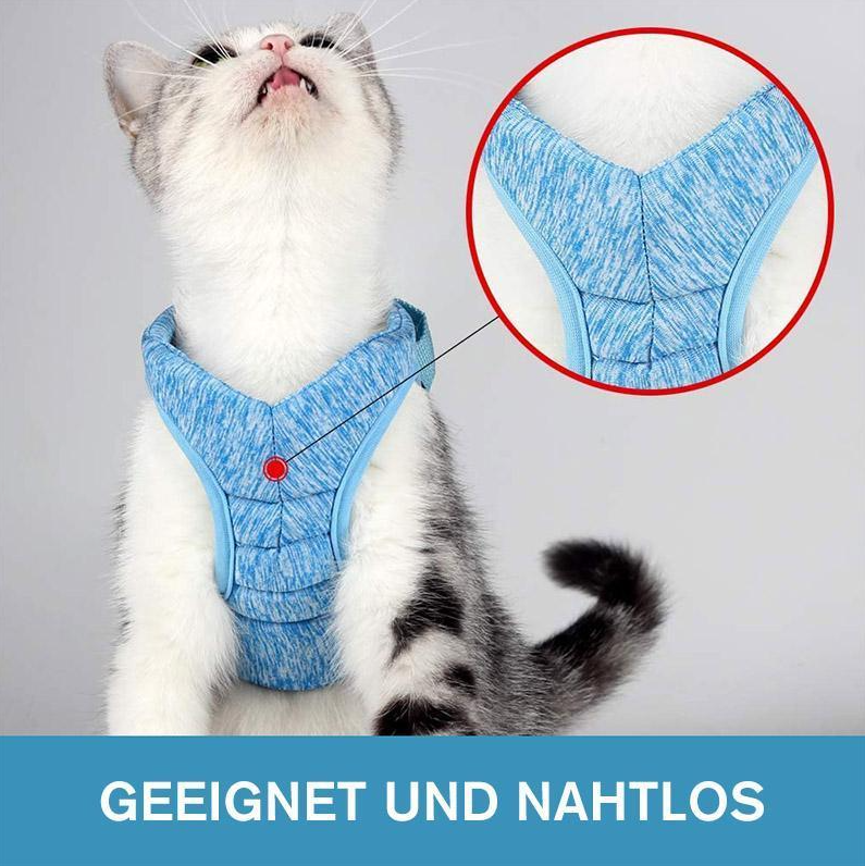 Katzengeschirr & Leine für Outdoor-Katzen. Entdecke die Welt sicher & bequem. Haustiergeschirr für Abenteuer.