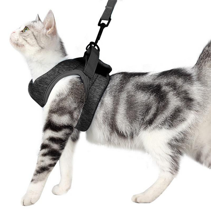 Detailansicht: Verstellbare Verschlüsse am Katzengeschirr für optimalen, ausbruchsicheren Sitz. Mit Leine.