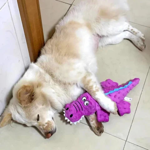Strapazierfähiges Krokodil-Hundespielzeug, robustes Kauspielzeug für Hunde mit Quietscheffekt.