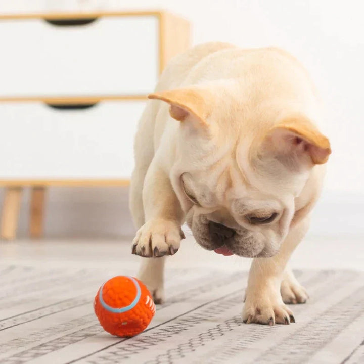 Langlebiges Kauspielzeug: KryptoChew Ball, robust für Welpen & erwachsene Hunde.