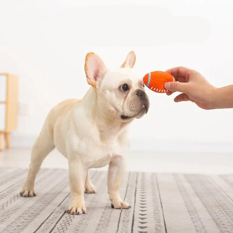 Interaktiver KryptoChew Hundeball, unzerstörbares Spielzeug für drinnen & draußen.