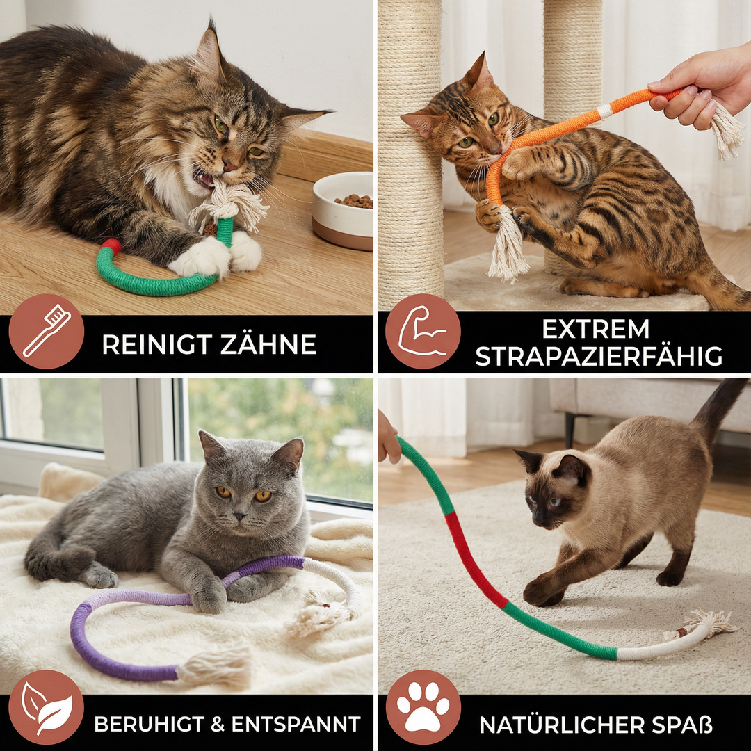 Katze spielt mit robustem Naturfaser-Kauseil (rot), gut für Zähne & Entspannung. Tolles Katzenspielzeug.