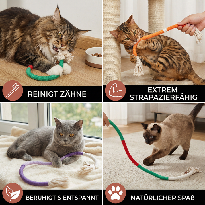 Katze spielt mit robustem Naturfaser-Kauseil (rot), gut für Zähne & Entspannung. Tolles Katzenspielzeug.