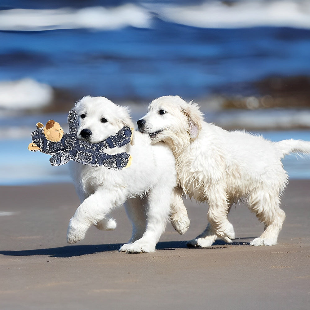Interaktiver Bär Hundespielzeug für energiegeladenes Kauen. Robust, langlebig & quietschend, perfekt für Welpen.