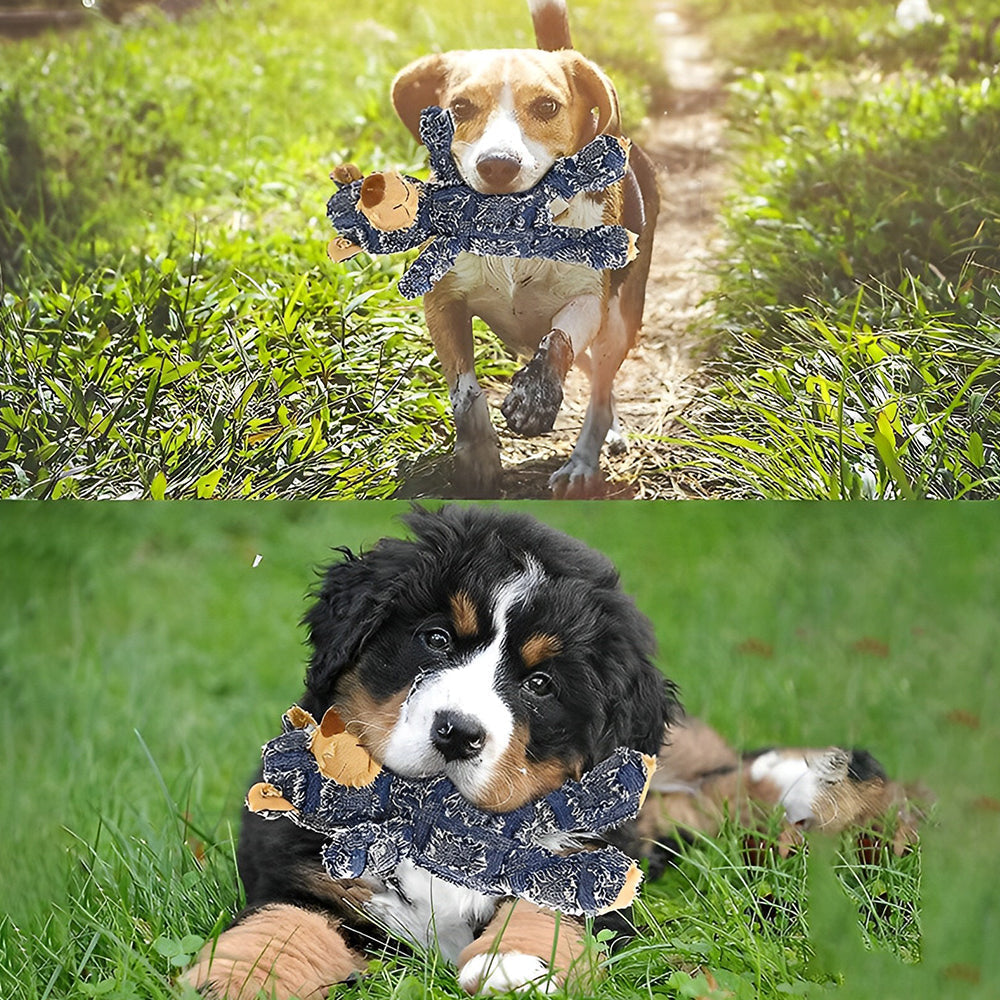 Geschenkidee: Robuster Bär Hundespielzeug, fördert gesunde Zähne & reduziert Angst bei Hunden.