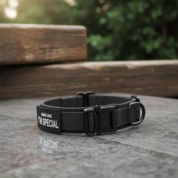 Robustes TACTICALK9 Hundehalsband Set für Training & Alltag, verstellbar für mittelgroße bis große Hunde.