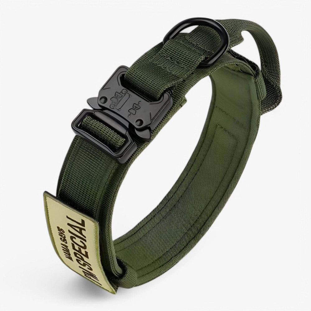 Taktisches Nylon Hundehalsband, wetterfest & robust, ideal für Hunde Training & Outdoor-Abenteuer.