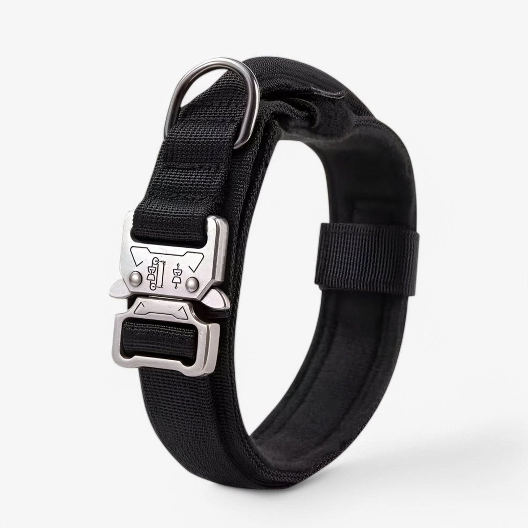Premium Hunde Halsband für anspruchsvolles Training, robustes & komfortables Nylon, sicheres Hundezubehör.