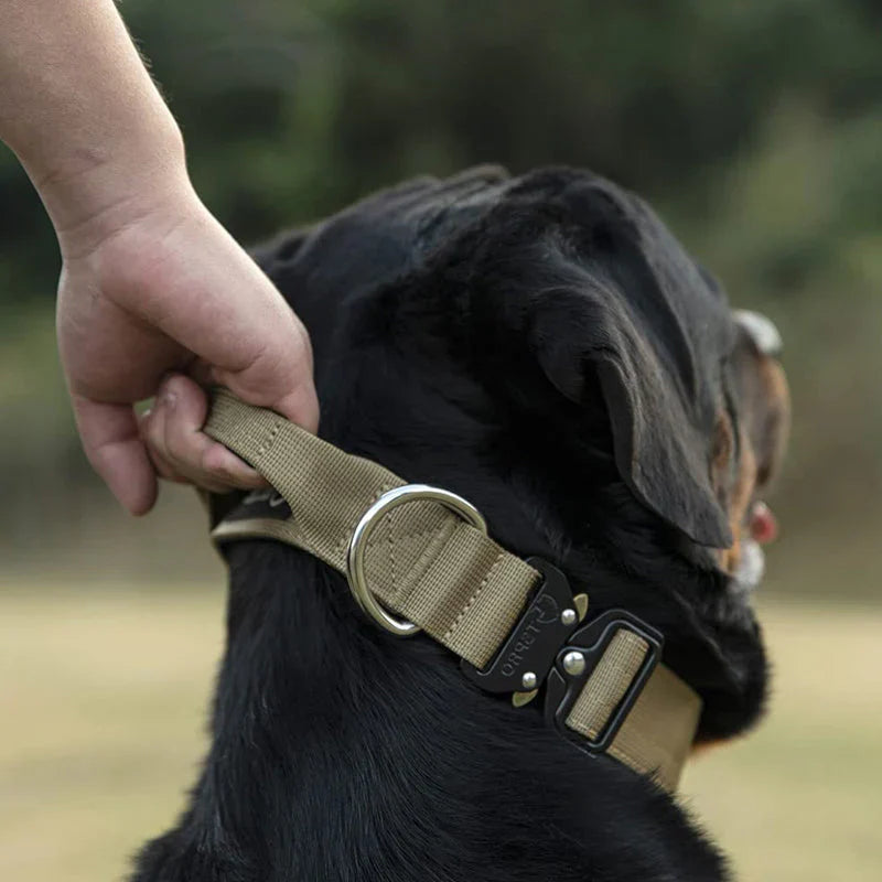 Robustes taktisches Hundehalsband aus Nylon mit Griff für sichere Kontrolle beim Hundetraining & Outdoor-Aktivitäten.
