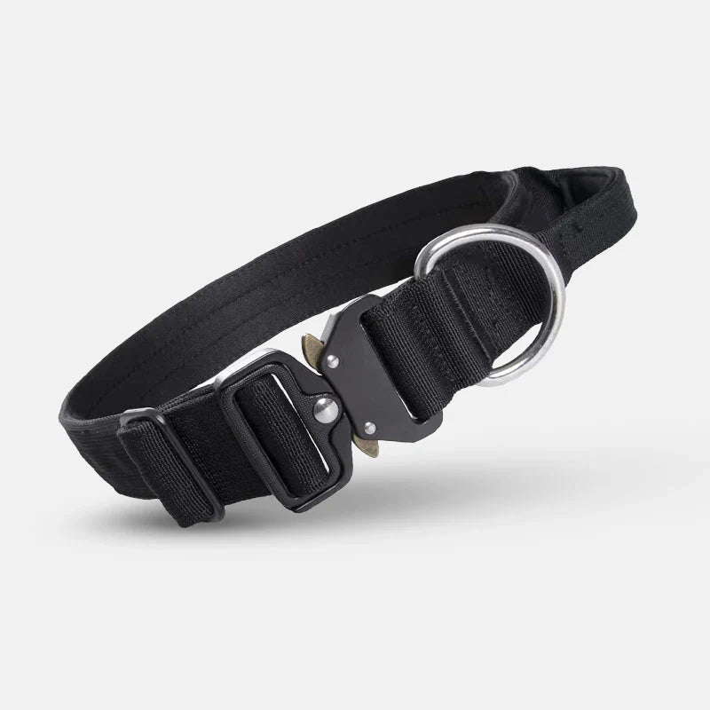 Strapazierfähiges Nylon-Hundehalsband mit taktischem Design und Kontrollgriff, ideal für Training & Outdoor-Einsätze.