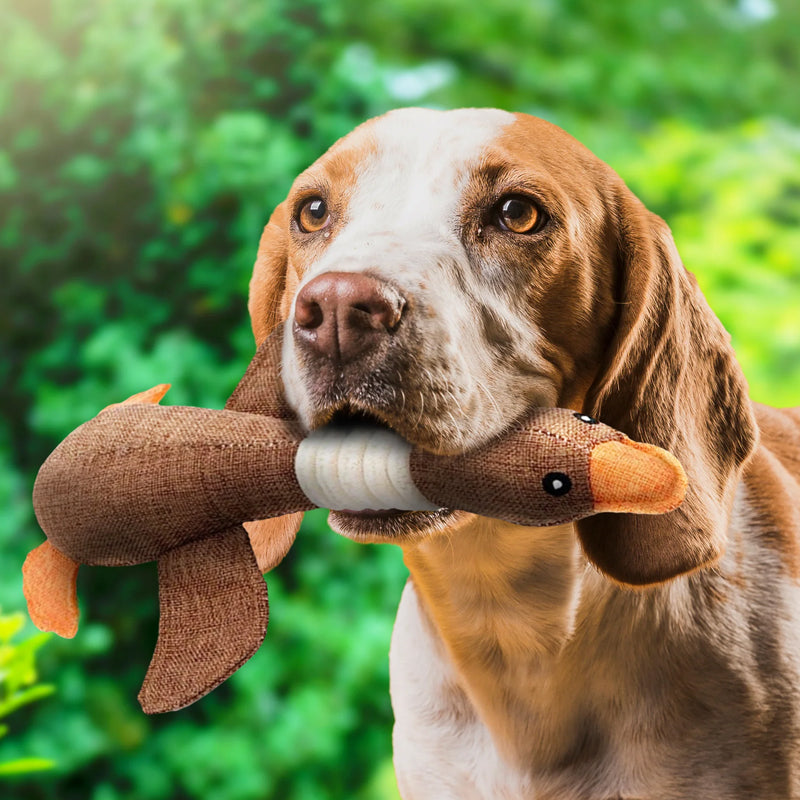 Detailaufnahme des unverwüstlichen ToughGoose Hundespielzeugs, ideal als Kauspielzeug & zur Zahnpflege.