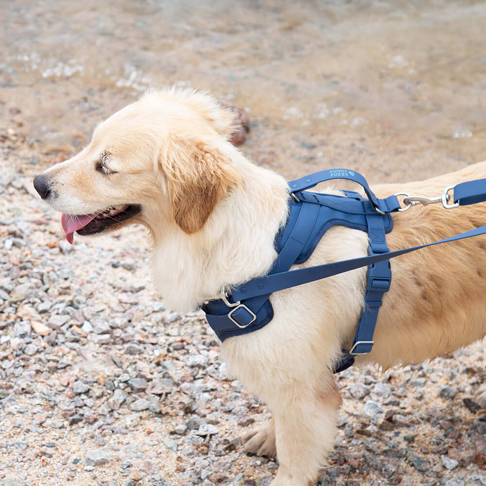 Wasserdichtes und antibakterielles Hundegeschirr aus robustem Gummi. Ideal für Outdoor-Aktivitäten.