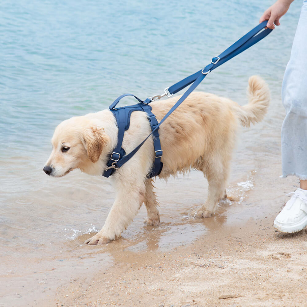 Reißfestes Gummi-Hundegeschirr, wasserdicht und robust. Perfektes Hundezubehör für jeden Tag.