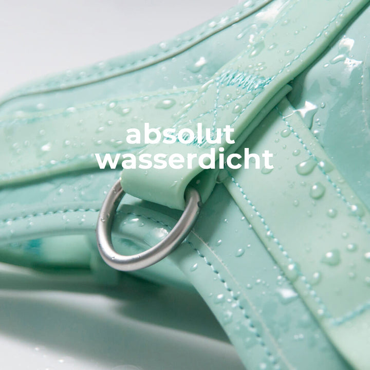 Pflegeleichtes, minzgrünes Hundegeschirr aus robustem, wasserdichtem Gummi. Antibakteriell.