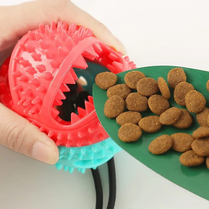 Hundespielzeug Zerrtau aus robustem Material für langanhaltenden Kauspaß und interaktive Spieleinheiten.