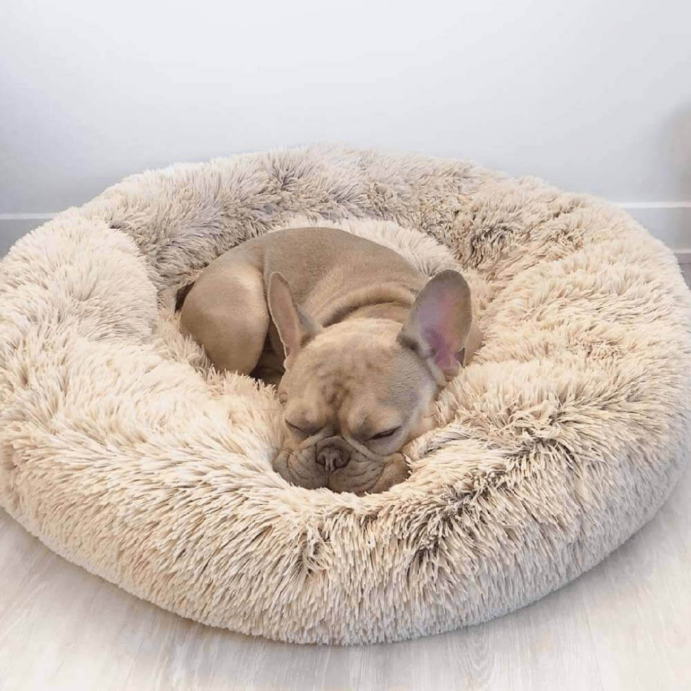 Waschbares, rundes Tierbett. Flauschiger Komfort, ideal für Hunde, die Geborgenheit lieben.