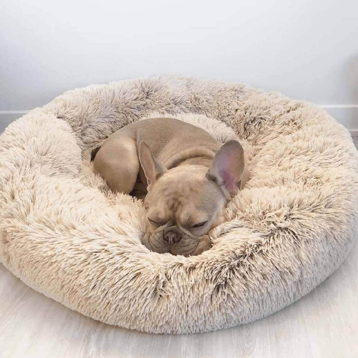 Waschbares, rundes Tierbett. Flauschiger Komfort, ideal für Hunde, die Geborgenheit lieben.