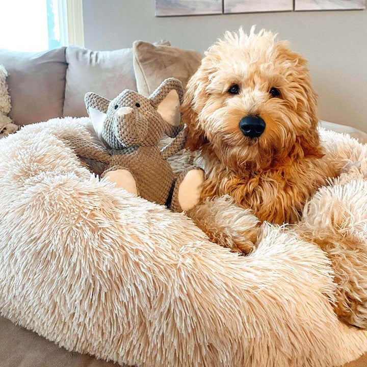 Kompaktes, rundes Hundebett, flauschig & weich. Perfekter, angstlösender Schlafplatz für kleine bis mittelgroße Hunde.
