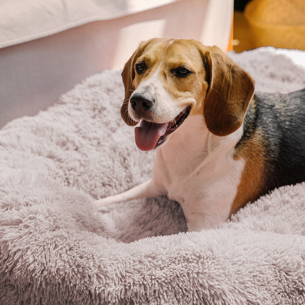 Luxuriöses, rundes Hundebett, flauschig & dick gepolstert. Perfekter Schlafplatz für alle Hunde.