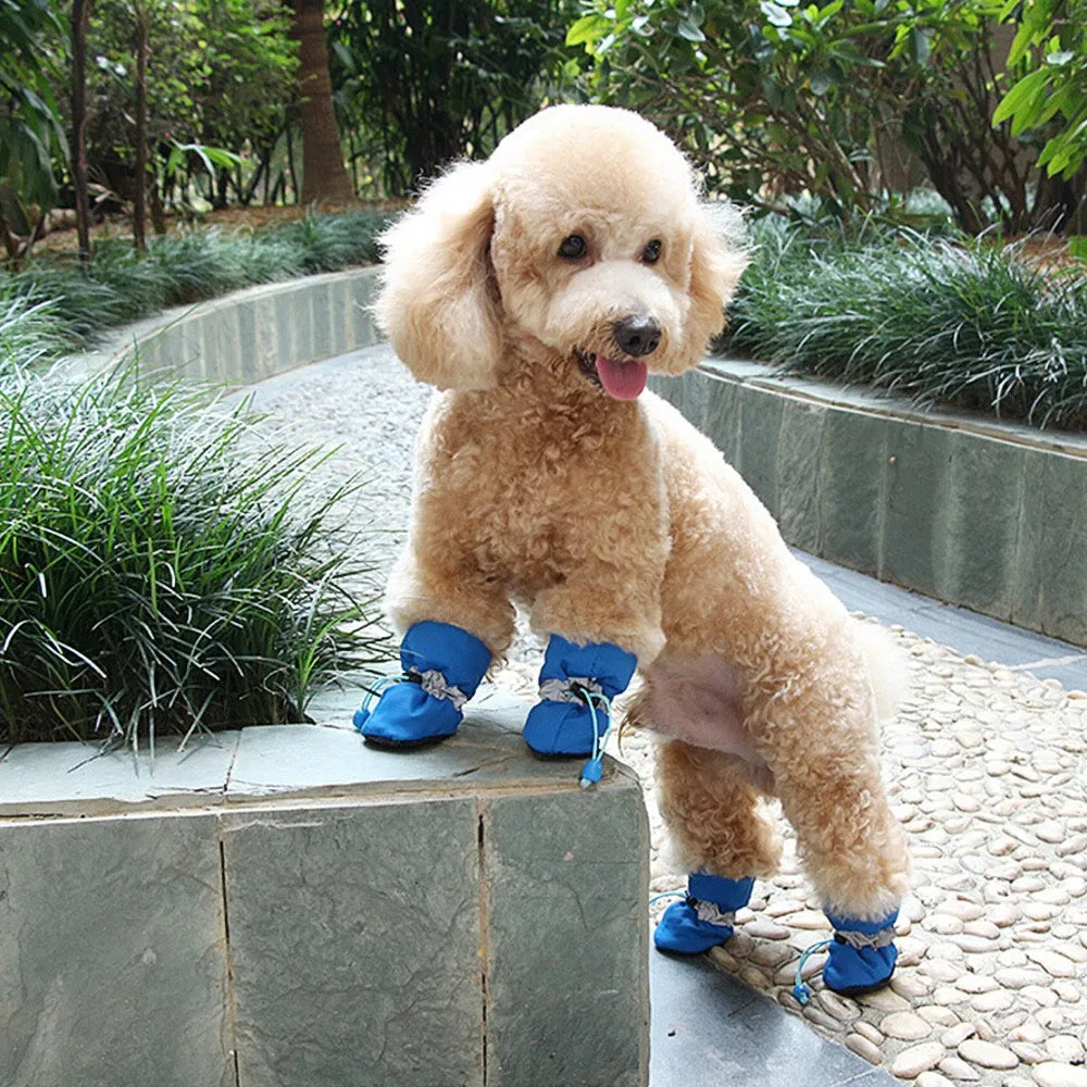 Rutschfeste Hunde Pfotenschuhe in Rot für optimalen Kälte- & Nässeschutz im Winter. Perfekt für Schneespaziergänge.