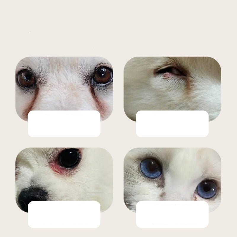 Effektive Reinigungstücher für Haustieraugen. Reinigt sanft Tränenflecken und Schmutz bei Hunden & Katzen für optimale Hygiene.
